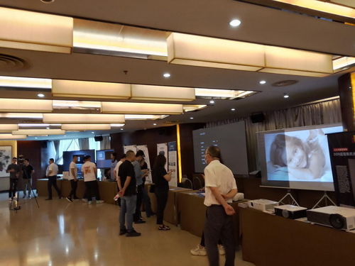 2021視聽行業高峰論壇暨萬里行全國巡展杭州站順利召開 多媒體設計服務的創新與發展